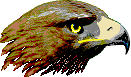 mein Eagle-Logo
